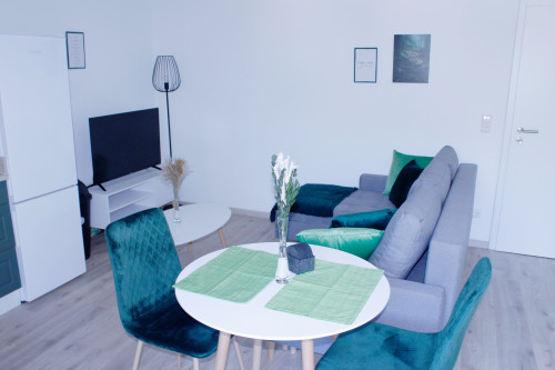 Cozy Upper Floor Apartment - Fully Furnished and Equipped! located (Bühl) - Gallery - 10