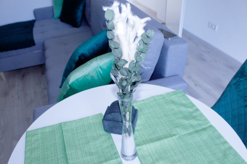 Cozy Upper Floor Apartment - Fully Furnished and Equipped! located (Bühl) - Gallery - 9