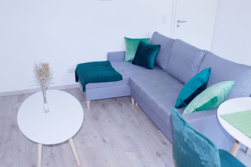 Cozy Upper Floor Apartment - Fully Furnished and Equipped! located (Bühl) - Gallery - 8