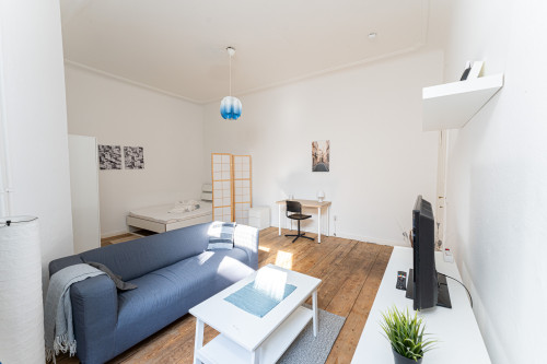 Perfect flat in alternative and unconventional Friedrichshain