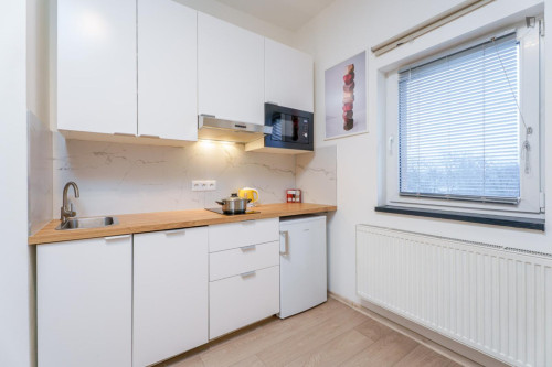 Bright studio near Kačerov metro
