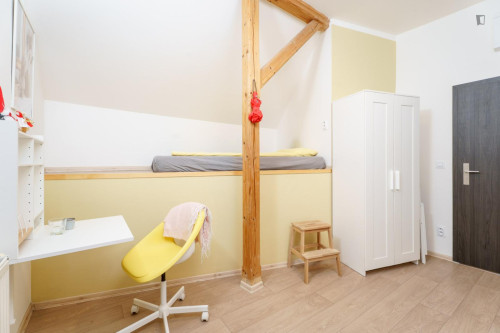 Bright studio near Kačerov metro