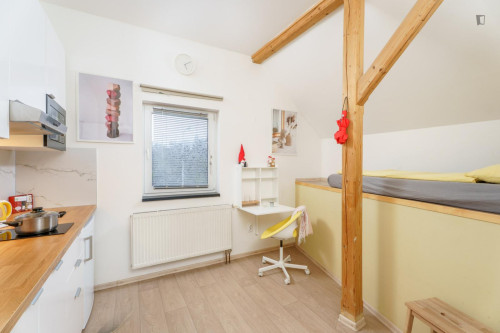 Bright studio near Kačerov metro