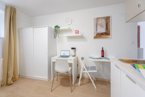 Beautiful studio near Kačerov metro