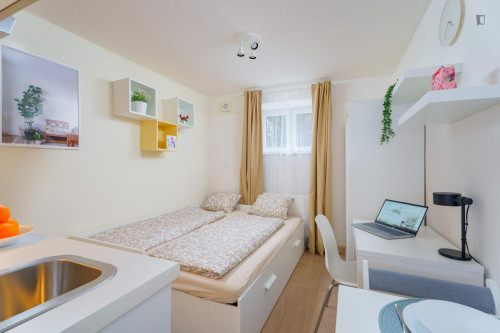 Beautiful studio near Kačerov metro