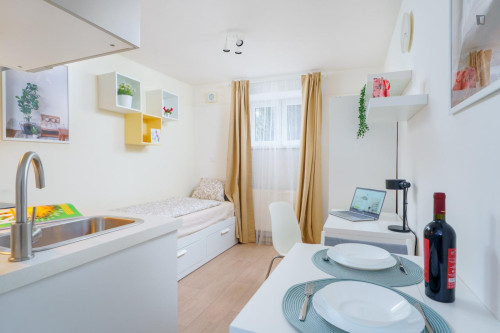 Beautiful studio near Kačerov metro