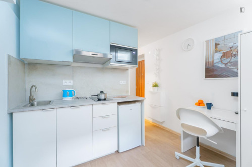 Modern studio near Kačerov station