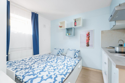 Modern studio near Kačerov station