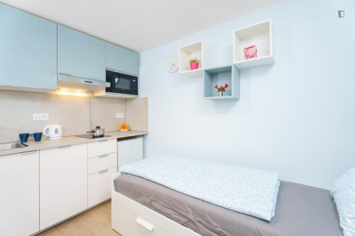 Comfortable studio near Praha Kačerov station