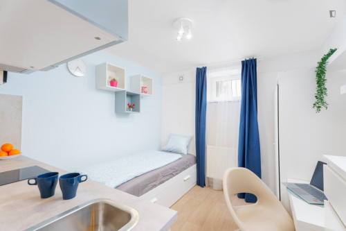 Comfortable studio near Praha Kačerov station