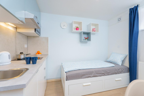 Comfortable studio near Praha Kačerov station