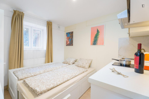 Nice studio near Kačerov metro