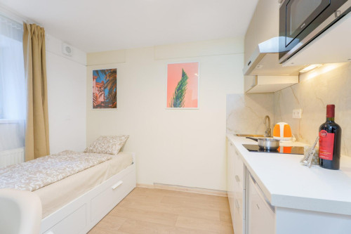 Nice studio near Kačerov metro