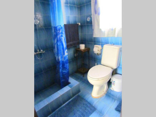 Marjoe *FEMALES ONLY*