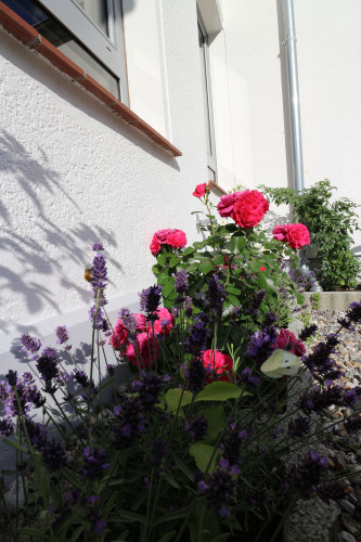 Kleines Reihenendhaus mit Hof nahe Bahnhof