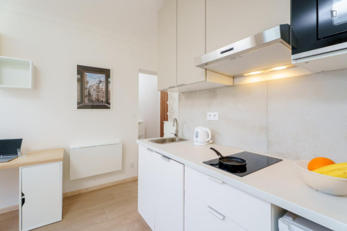 Appealing studio near the Kačerov train station