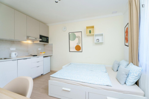 Appealing studio near the Kačerov train station