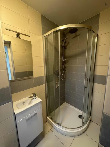 Neat and cosy studio near the Kačerov metro