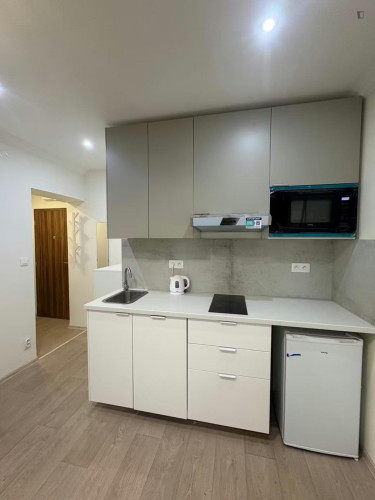 Neat and cosy studio near the Kačerov metro