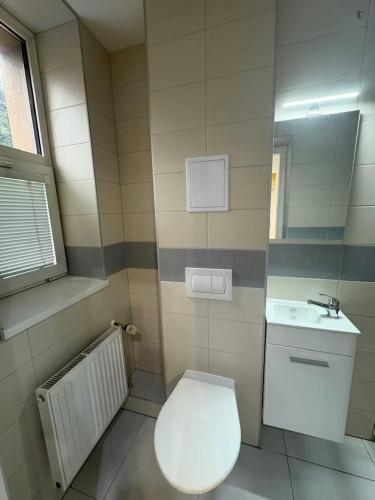 Neat and cosy studio near the Kačerov metro