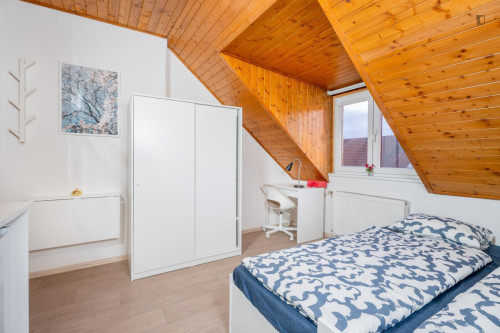 Bright and cosy studio near the Kačerov metro