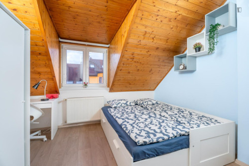 Bright and cosy studio near the Kačerov metro