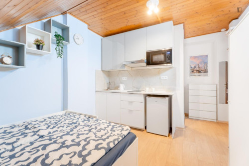 Bright and cosy studio near the Kačerov metro