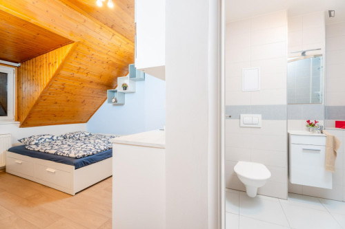 Bright and cosy studio near the Kačerov metro - Gallery - 9