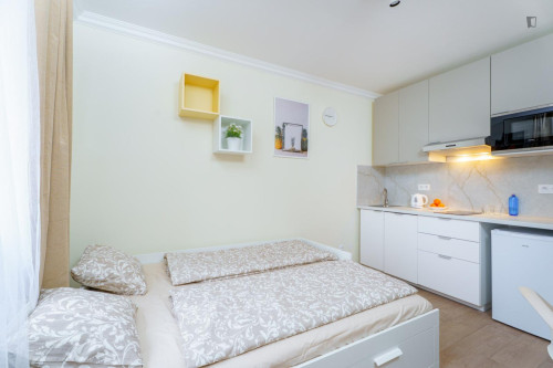 Bright little studio near Kačerov metro station