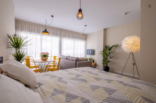 Welcoming Studio close to close to Malaga Center