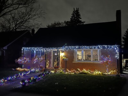 Room in Dearborn Historic District 
