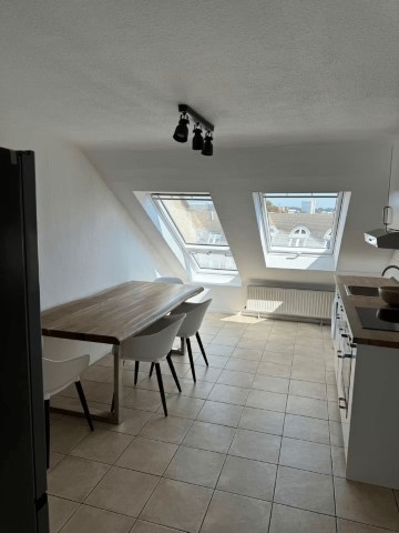  Single Room  -  Bright and wonderful room in Dusseldorf  - Gallery -  2