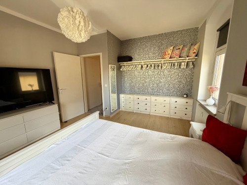 Cozy and charming Apartment in Dresden - Gallery - 9