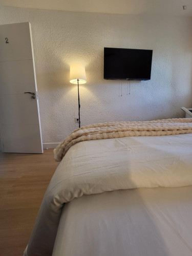 Lovely single bedroom near Alacant train station