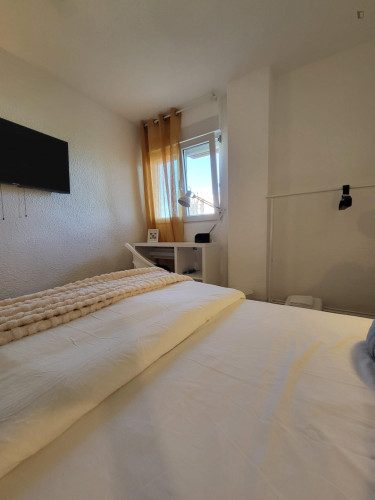 Lovely single bedroom near Alacant train station