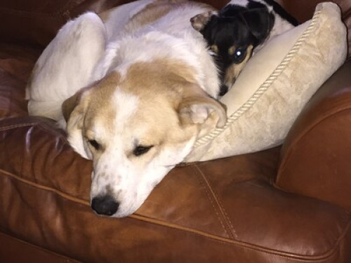 City and country come stay with us