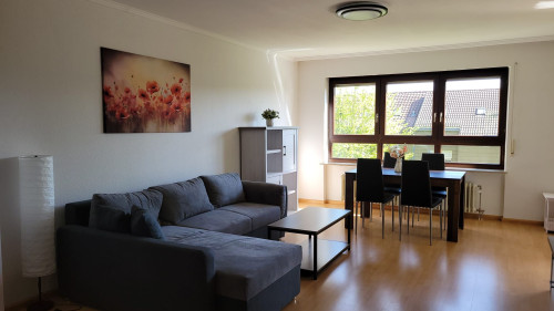 Cute & new suite