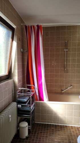 Cute & new suite