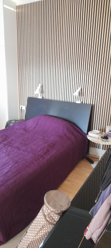 Charming, magnificent Art Nouveau apartment for temporary rental in the heart of Stuttgart