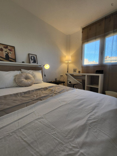 Pleasant single bedroom near Alacant train station