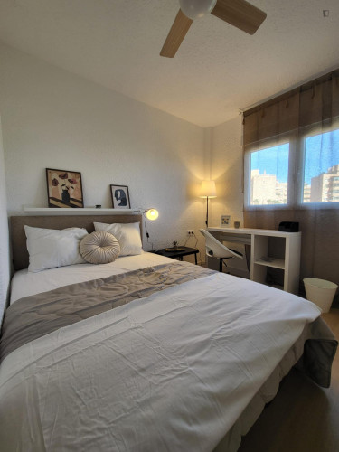 Pleasant single bedroom near Alacant train station