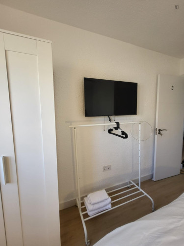 Pleasant single bedroom near Alacant train station