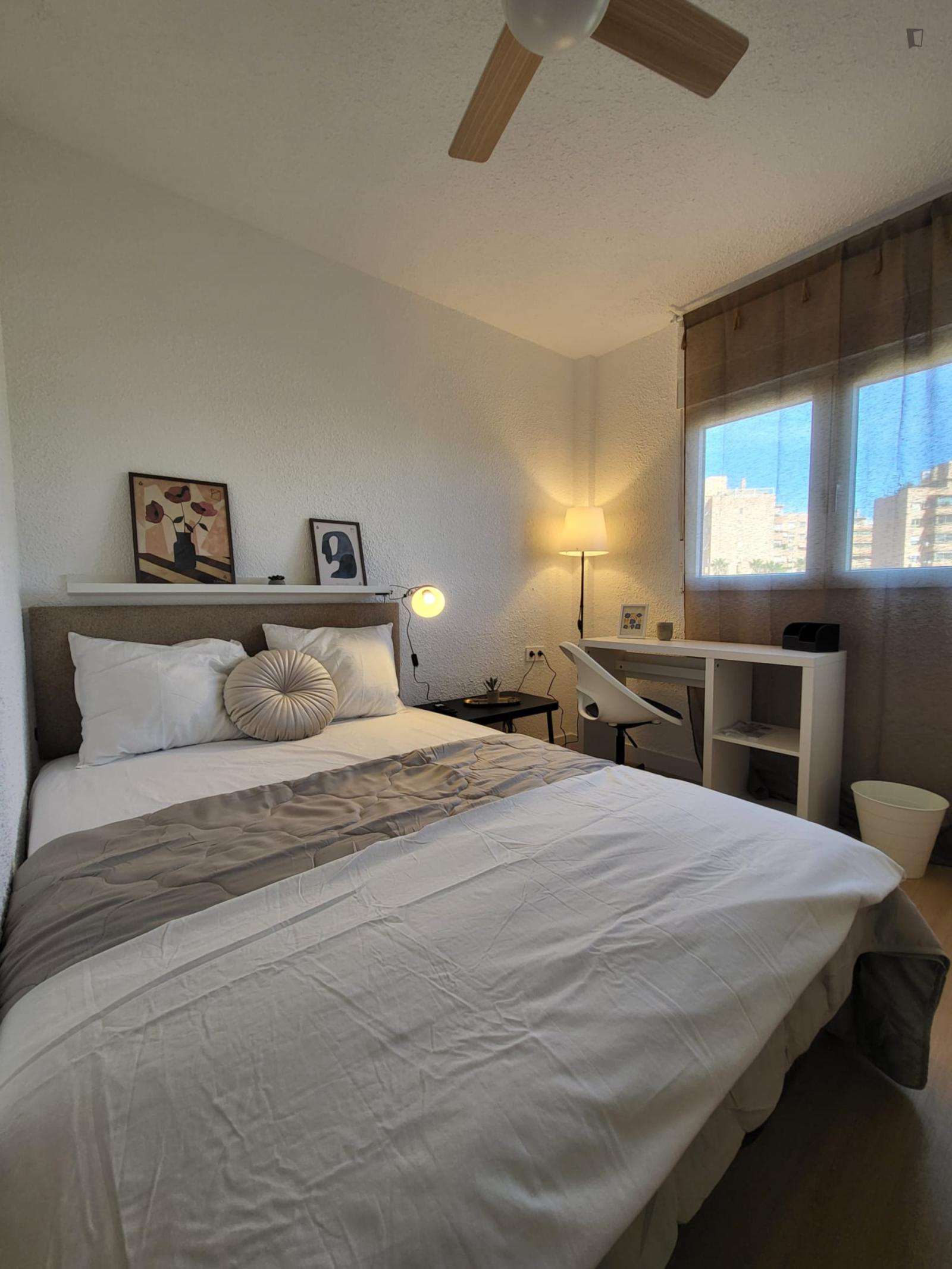  Pleasant Single Bedroom Near Alacant Train Station  -  Pleasant single bedroom near Alacant train station  - Gallery -  1