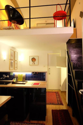 Elegant Studio close to Kossuth Lajos tér Metro - Gallery - 8