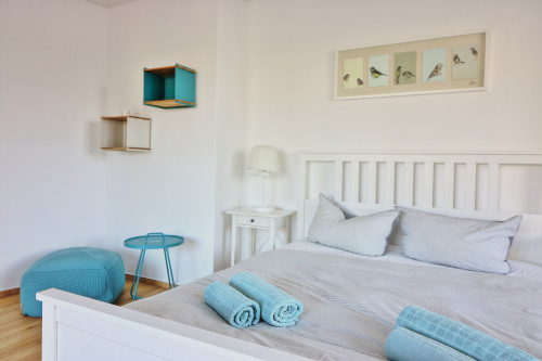 Nice apartment close to city center