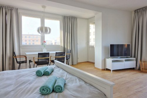 Nice apartment close to city center