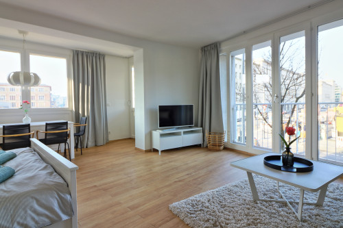Nice apartment close to city center