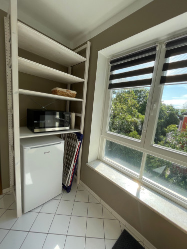 Blasewitz/ Forrest Park: Newly furnished, quiet 1-room apartment with 2 balconies in a perfect location in a city villa