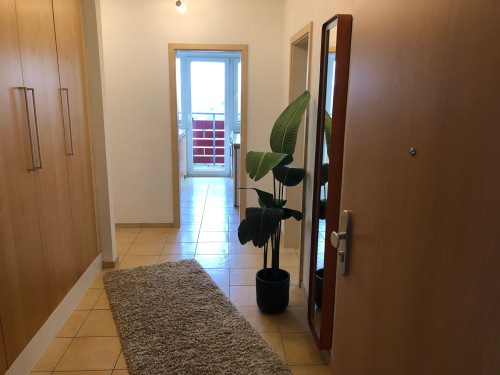 New and pretty apartment in Sankt Augustin - Gallery - 8