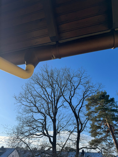 Charming and neat studio located in Stein